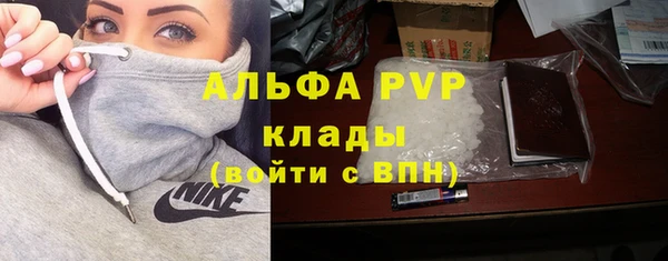 твердый Коряжма