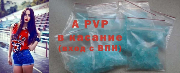 твердый Коряжма