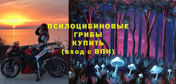 твердый Коряжма
