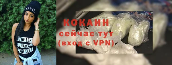 твердый Коряжма